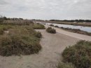 GR42 du Grau-du-Roi à Aigues-Mortes